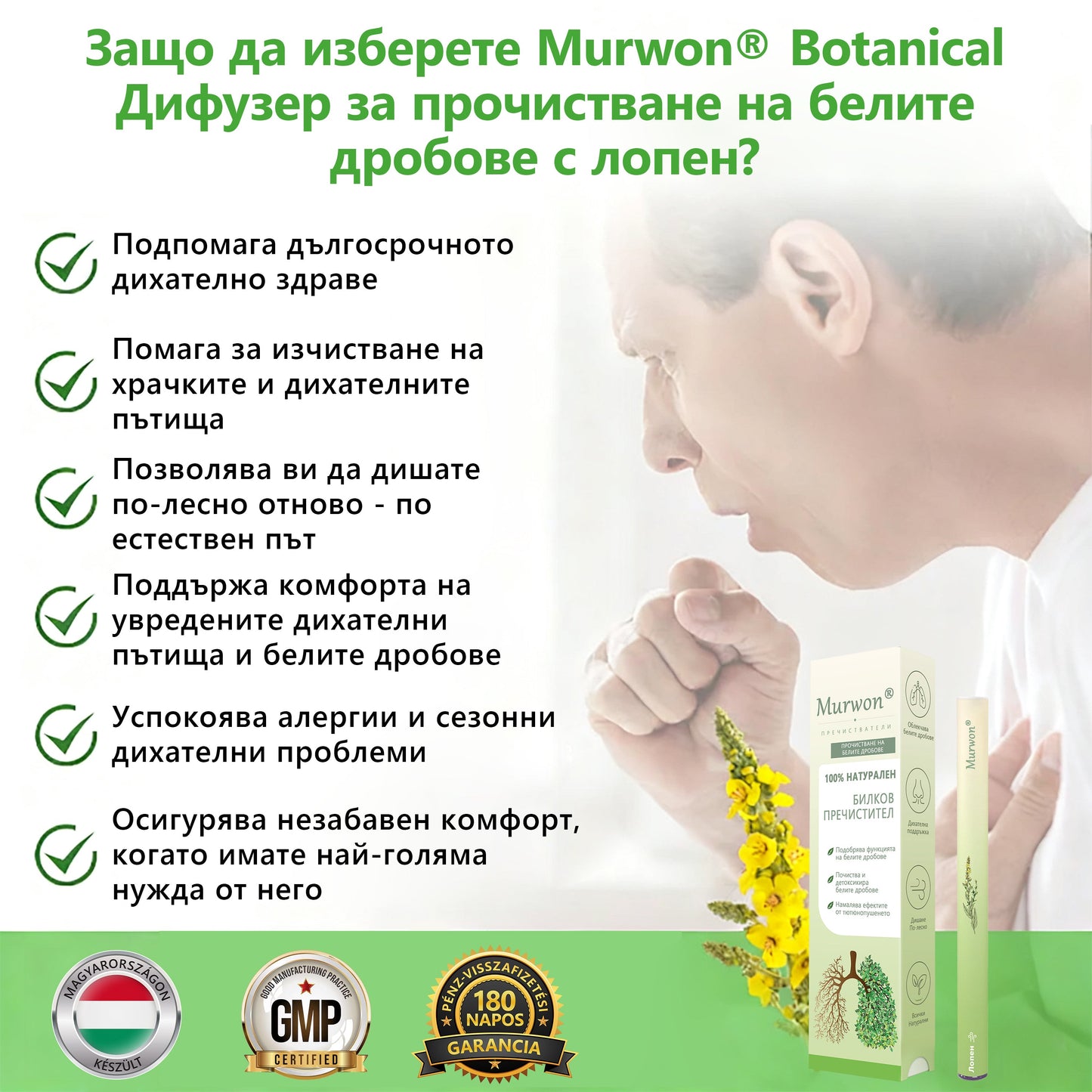 Българска собственост и управление ✅ Murwon® билков дифузер за прочистване на белите дробове с лопен (Mullein)  (🫁 кашлица, фарингит, задух, храчки, запушен нос, бронхит, бронхит, алергични симптоми, дискомфорт в белите дробове) 🌷