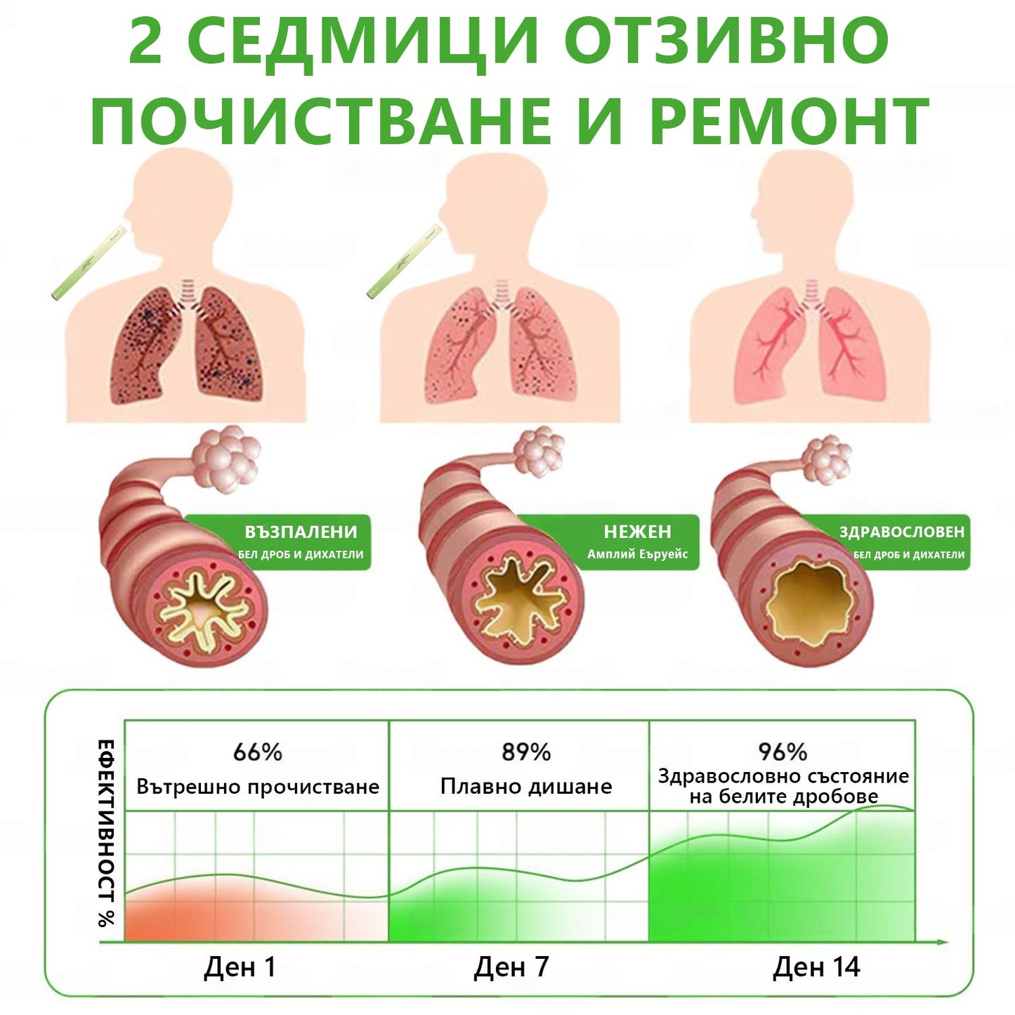 Българска собственост и управление ✅ Murwon® билков дифузер за прочистване на белите дробове с лопен (Mullein)  (🫁 кашлица, фарингит, задух, храчки, запушен нос, бронхит, бронхит, алергични симптоми, дискомфорт в белите дробове) 🌷