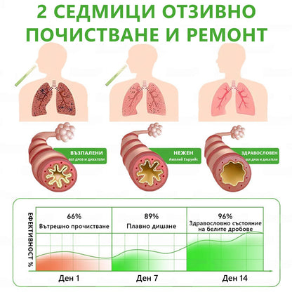 Българска собственост и управление ✅ Murwon® билков дифузер за прочистване на белите дробове с лопен (Mullein)  (🫁 кашлица, фарингит, задух, храчки, запушен нос, бронхит, бронхит, алергични симптоми, дискомфорт в белите дробове) 🌷