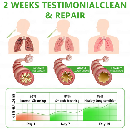 𝐔𝐒 𝐎𝐰𝐧𝐞𝐝 𝐚𝐧𝐝 𝐎𝐩𝐞𝐫𝐚𝐭𝐞𝐝✅ 𝐕𝒊𝒕𝐚𝐥𝐢𝐬𝐲𝐬® 𝐁𝐨𝐭𝐚𝐧𝐢𝐜𝐚𝐥 𝐌𝐮𝐥𝐥𝐞𝐢𝐧 𝐋𝐮𝐧𝐠 𝐂𝐥𝐞𝐚𝐧𝐬𝐞 𝐃𝐢𝐟𝐟𝐮𝐬𝐞𝐫(🫁Cough, Pharyngitis, shortness of breath, sputum, stuffy nose, bronchitis, bronchitis, allergy symptoms, lung discomfort)2✨