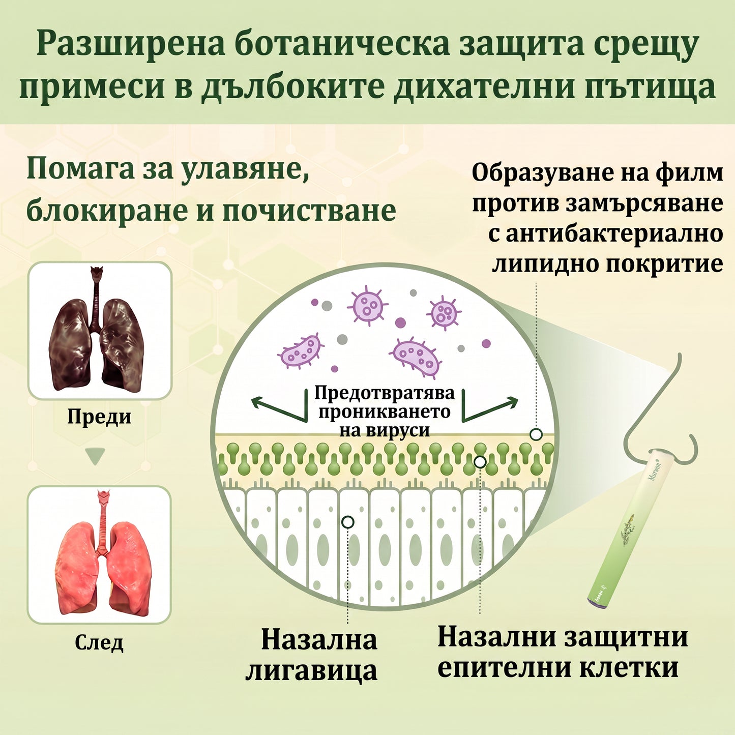 🇧🇬 Висококачествен български продукт с местна доставка 🥇 Murwon® билков дифузер за пречистване на белите дробове 🍇 (👨‍⚕️ Ефективна помощ: кашлица, фарингит, задух, храхра, запушен нос, бронхит, симптоми на алергия и белодробни оплаквания) ❤️
